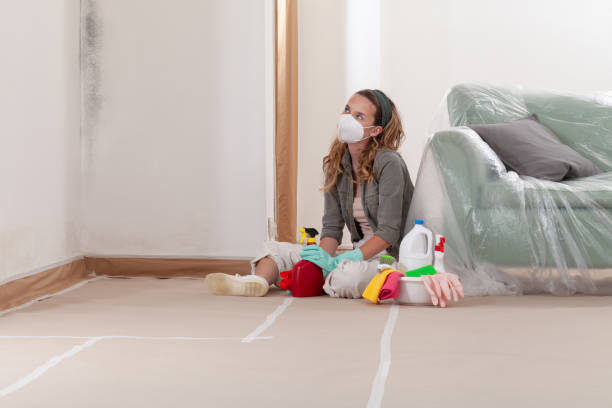 Reliable Mold Remediation contractor in Eure, NC by WQB Mold Removal